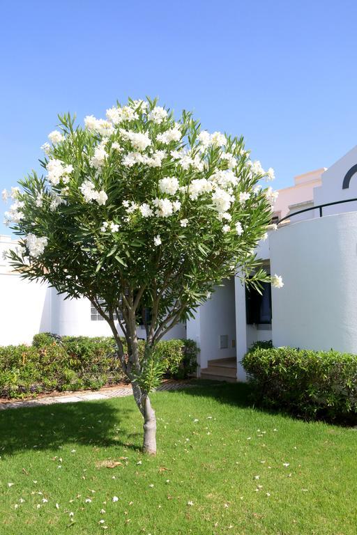 Cabana Da Ria Cabanas De Tavira Eksteriør billede